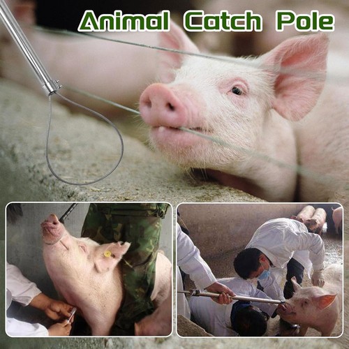 Pig holder catcher stainless - holder,