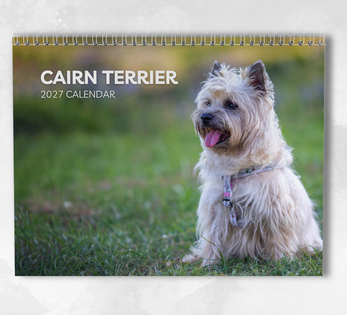 Cairn terrier calendar 2027 - terrier,