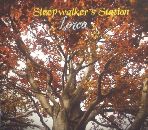 Sleepwalker station - cd,