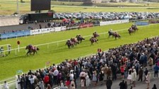 Grand national systems - 3,