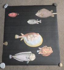 Fornasetti  Acquario Wallpaper Panel - One Repeat Very Decorative For Upcycling