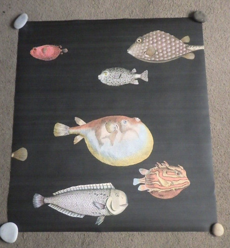 Fornasetti acquario wallpaper - fornasetti,