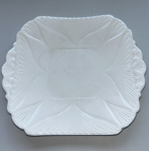 Shelley dainty white bone - shelley,