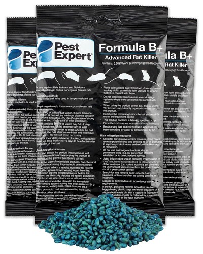 Pest expert rat - expert,