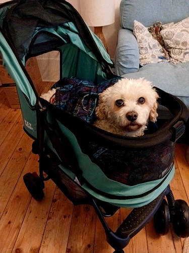 Pet stroller new folding - folding, and