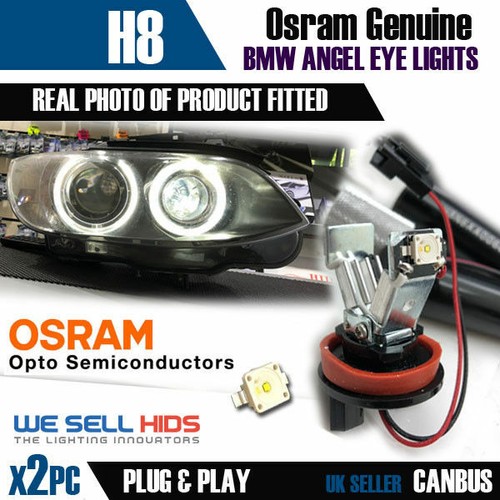 Osram chip angel - h8, even