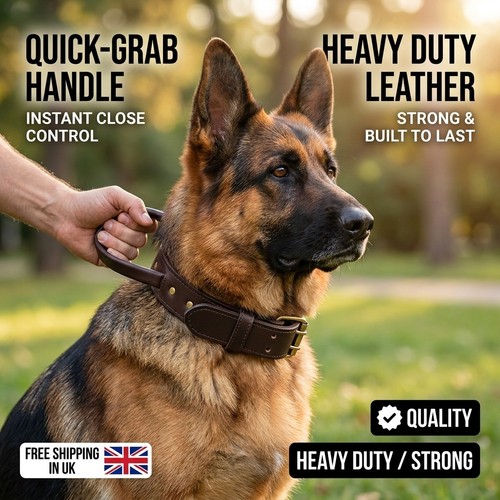 Leather dog collar with quick - dog,