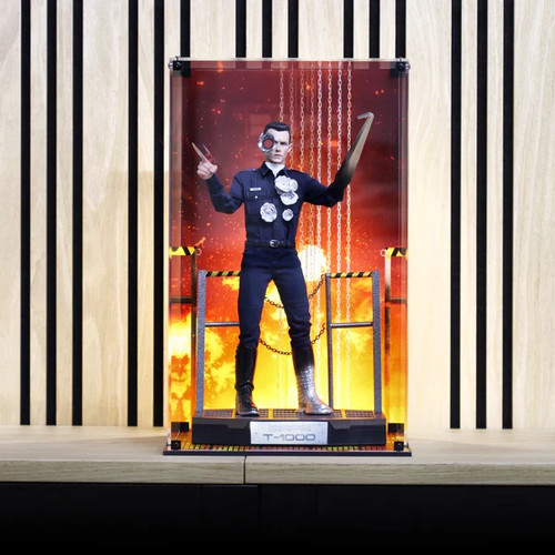 Onesixthscale display case - case, for