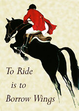 Horse Dressage Jumping Borrow