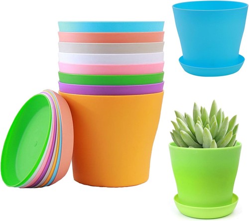 Colourful plant pots with - 10,
