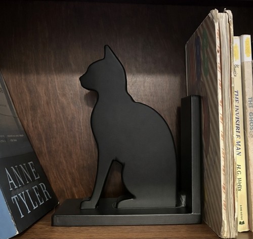 Cute black cat - cat, shelf