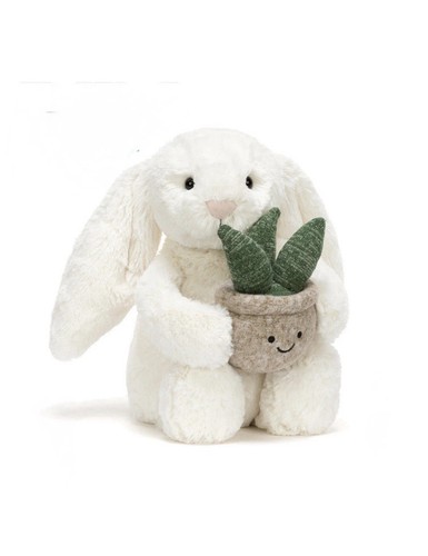 Jellycat cream bunny with - jellycat,