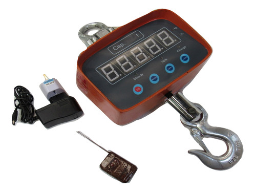 Digital crane scales 1000kg - digital,