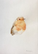 Robin,,  Birds, Watercolor