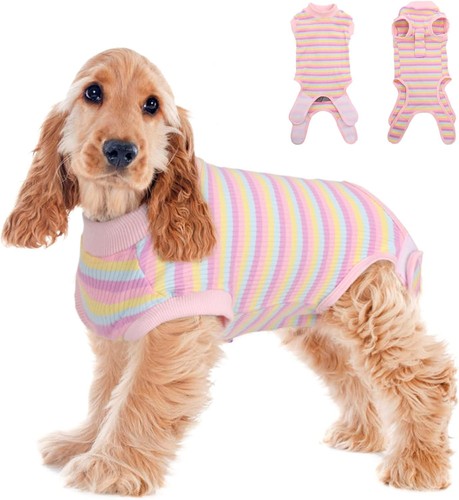 Dog suit after surgery - after,