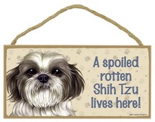 A Spoiled Rotten Shih Tzu