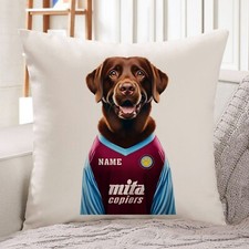 Aston Villa Labrador Cushion