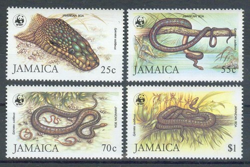Wwf jamaica slim boa - -,