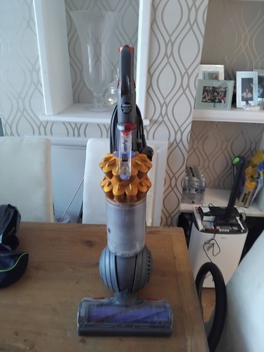Dyson dc24 multi floor orange - multi,