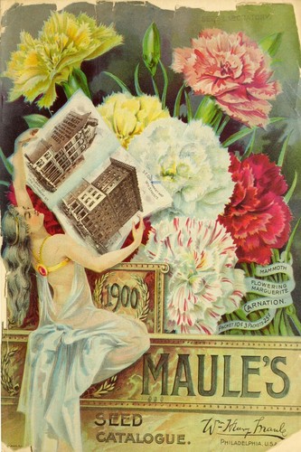 Maule gardening seed - maule's,