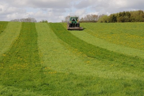 Photo 6x4 rolling - field, bell