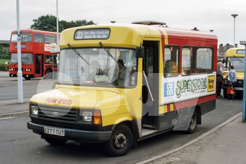 Bus photo midland fox - photo, cub