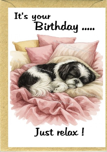 Shih tzu dog birthday - dog, card