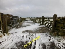 Photo 6x4 Sheep Handling Pens