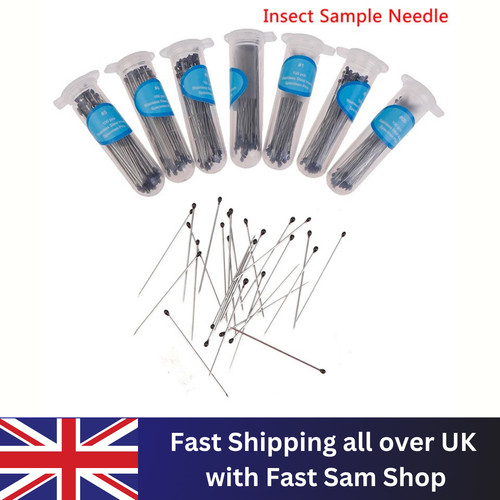 100pcs insect specimen - 100pcs,