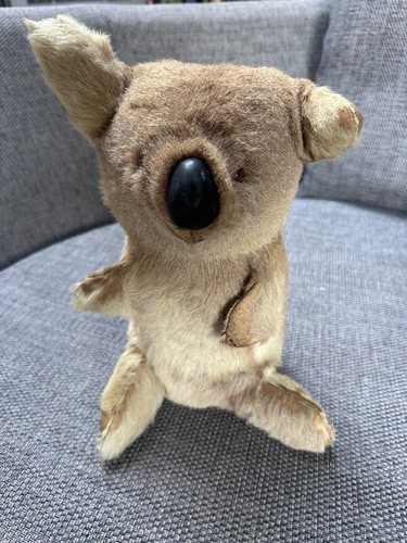 Vintage australian koala bear - koala,
