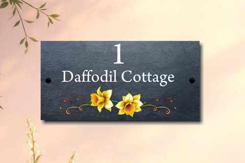 Daffodil scroll high quality - daffodil, high-quality
