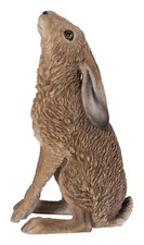 Real life moon gazing hare - real,