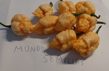 Carolina reaper peach (the