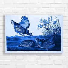 Ruffed Grouse Bird Naturework