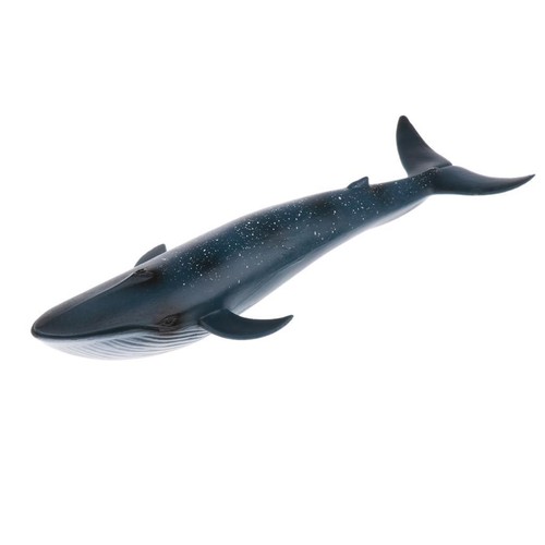 Realistic ocean animals action - realistic,