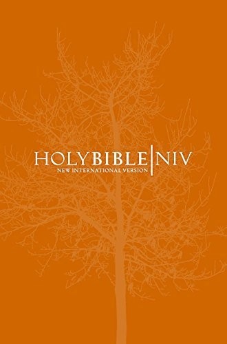 Niv popular orange - niv,
