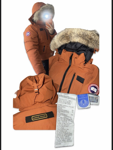 Canada goose chilliwack - canada,