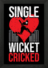 Single Wicket Cricket Play