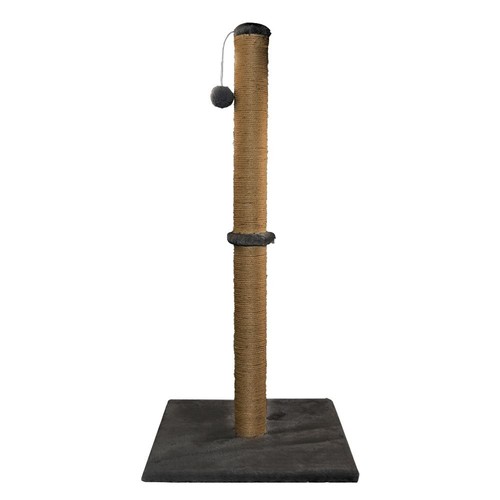74cm tall large - large, cat