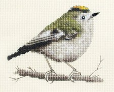 GOLDCREST Garden Bird, Full