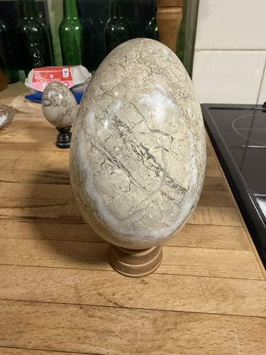 Polished fossil stone egg - polished,
