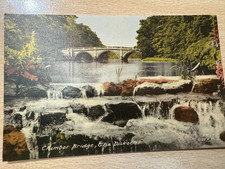 Vintage postcard clumber