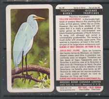 TRADE CARDS Brooke Bond (Canada) 1964 Tropical Birds - set of 48