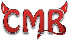 Postal ECU Remapping Service