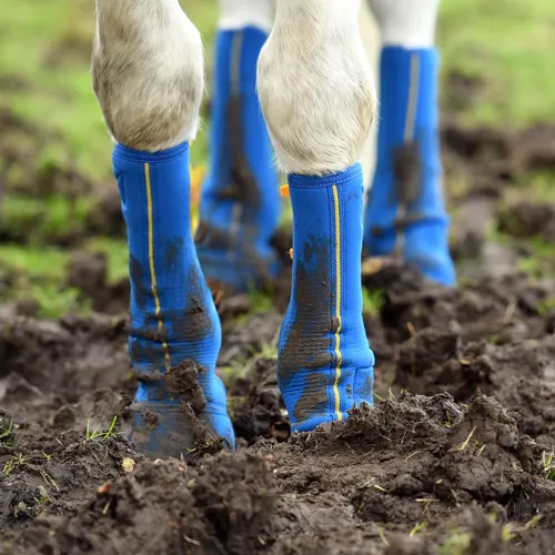Equilibrium equi chaps close - equilibrium,