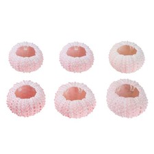  6 Pcs Fish Tank Ornament Mini Seashells Air Plants Holder Aquarium Decor