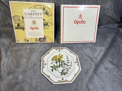 Spode rosa salvia - spode,