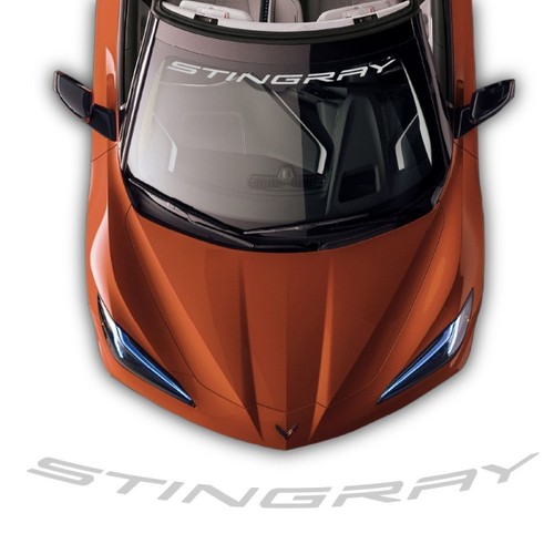 Stingray shield windshield - stingray,