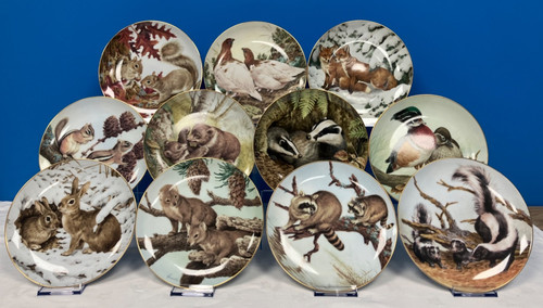 The forest year collectors - year,