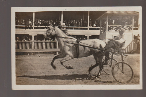 Rppc c1910 harness racing - rppc,